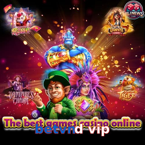 betvnd vip