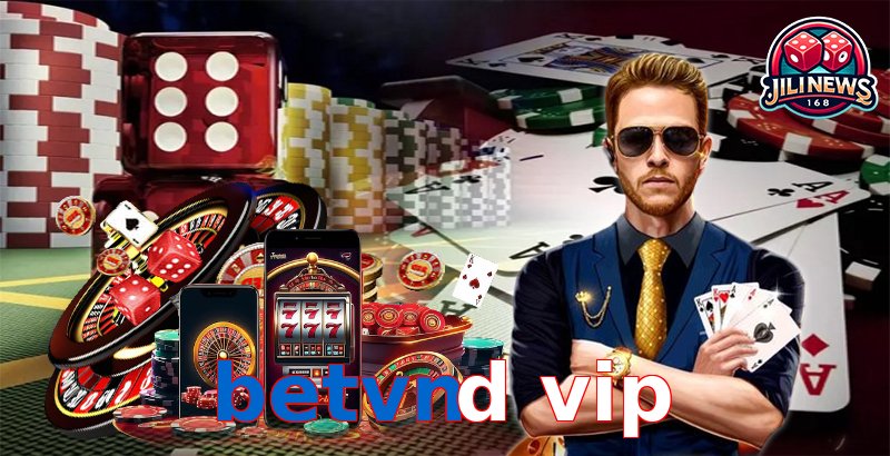 betvnd vip