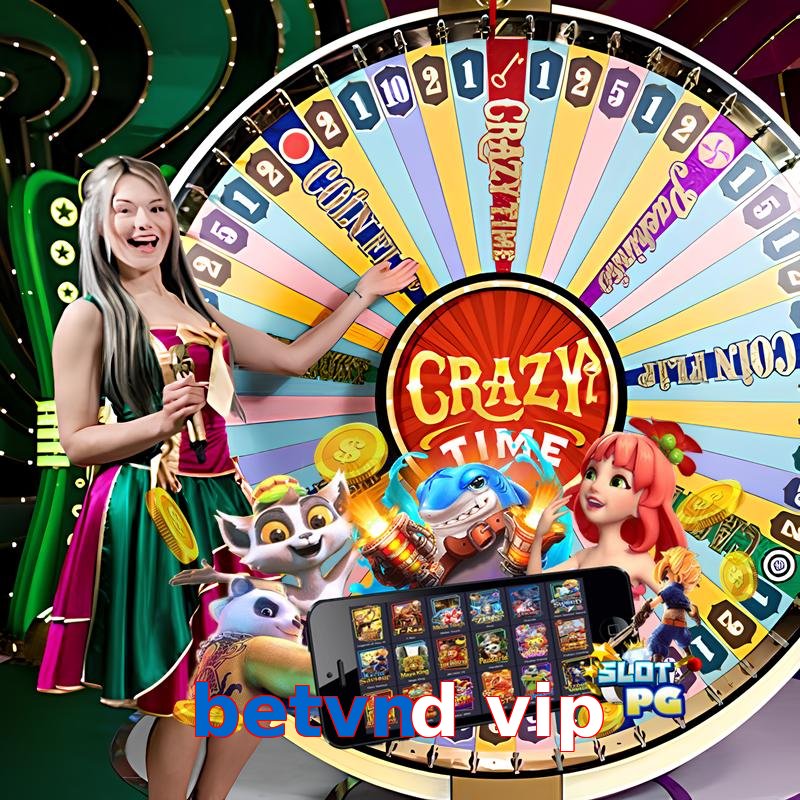 betvnd vip
