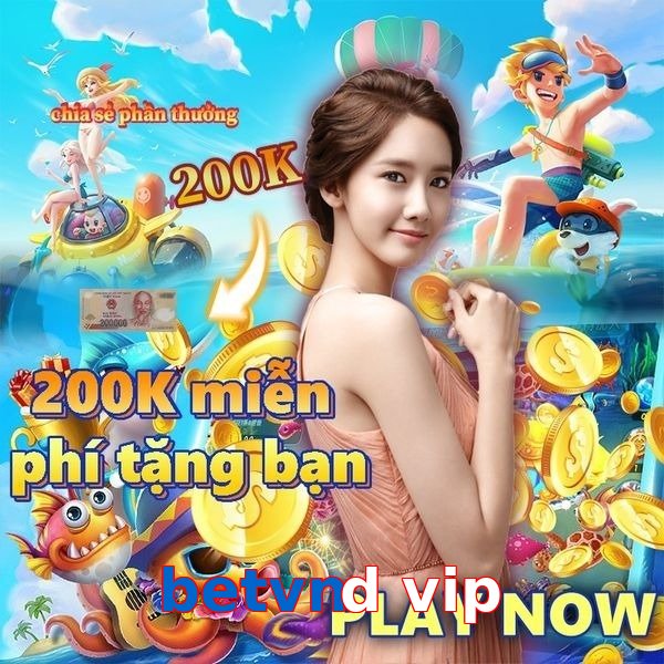 betvnd vip