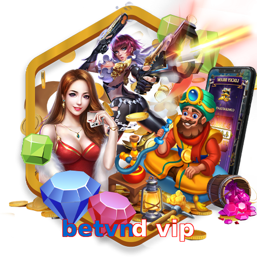 betvnd vip
