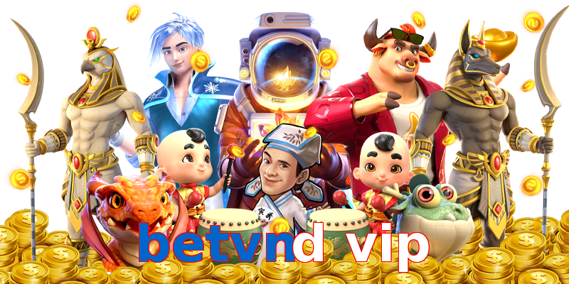betvnd vip