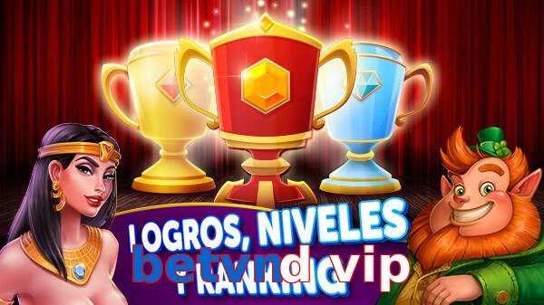 betvnd vip