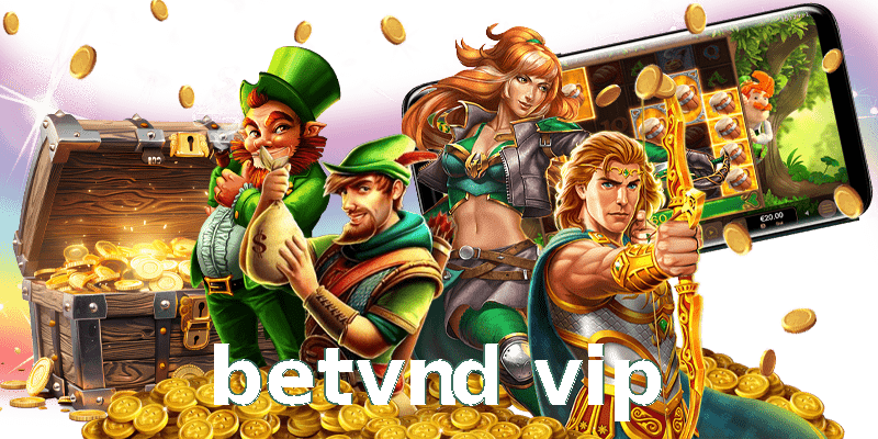 betvnd vip