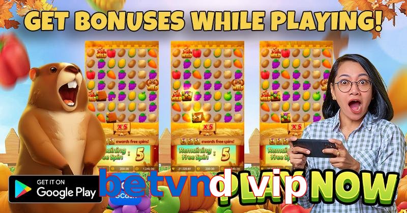 betvnd vip