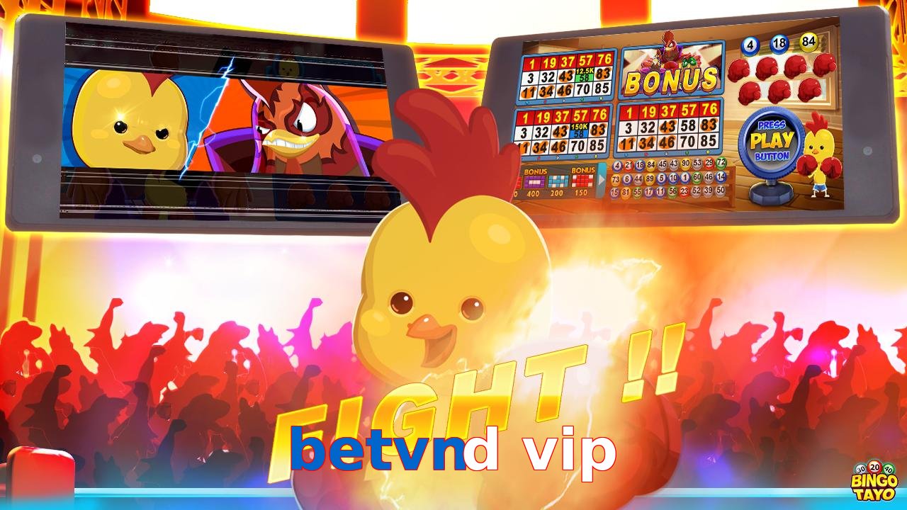 betvnd vip