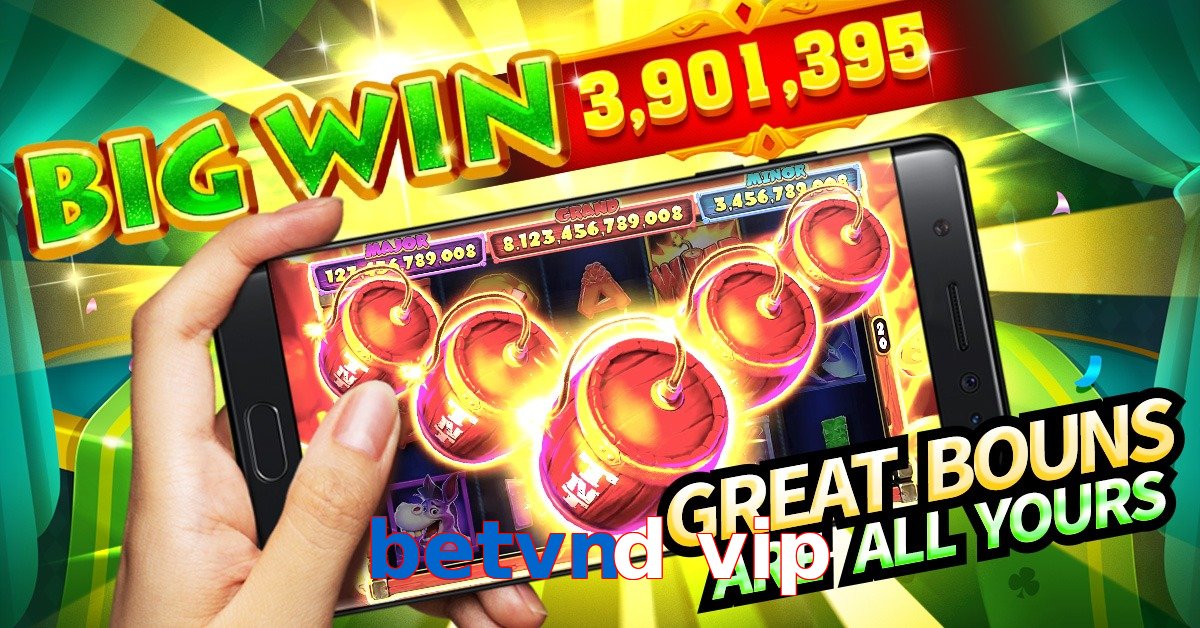 betvnd vip