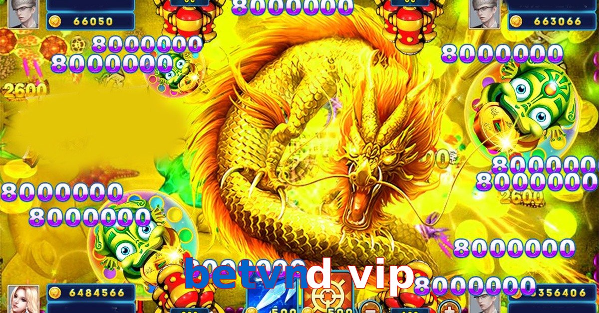 betvnd vip