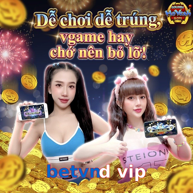 betvnd vip