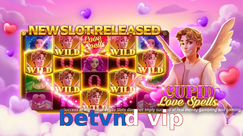 betvnd vip