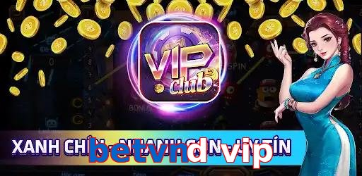 betvnd vip