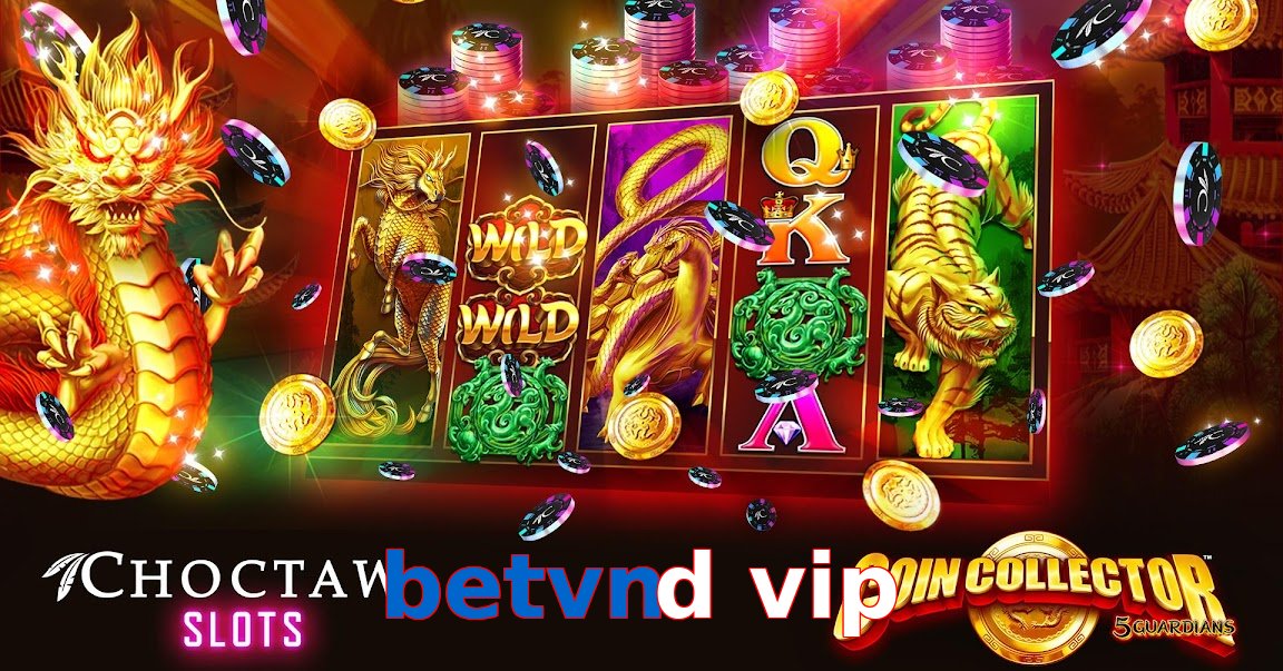 betvnd vip