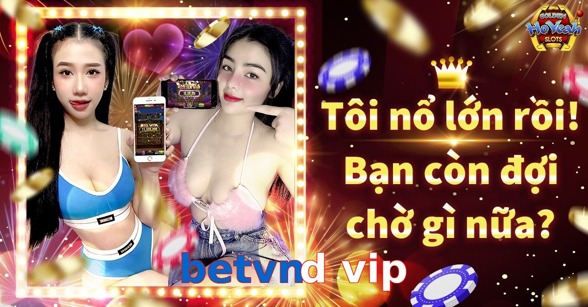 betvnd vip