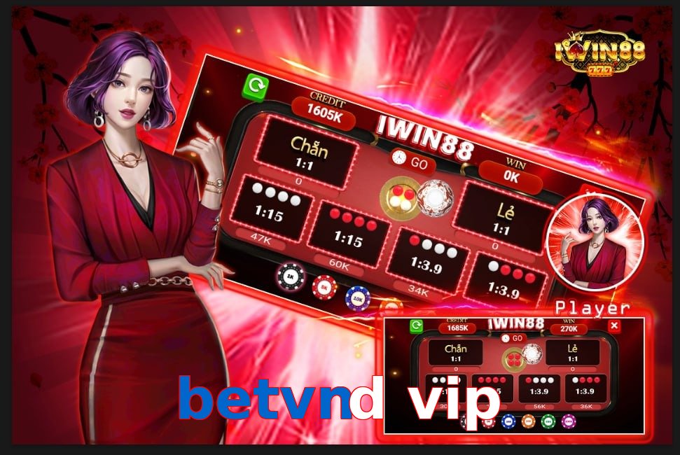 betvnd vip