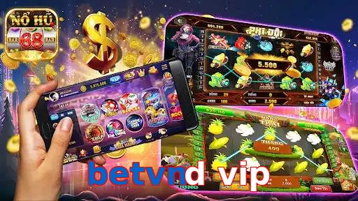 betvnd vip