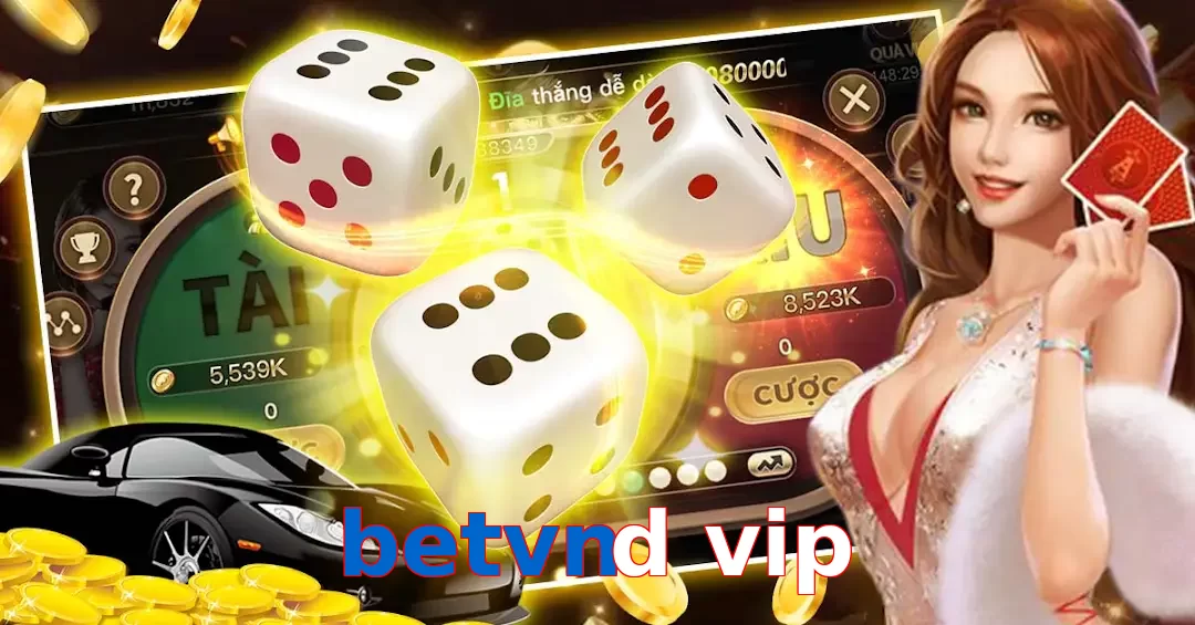 betvnd vip