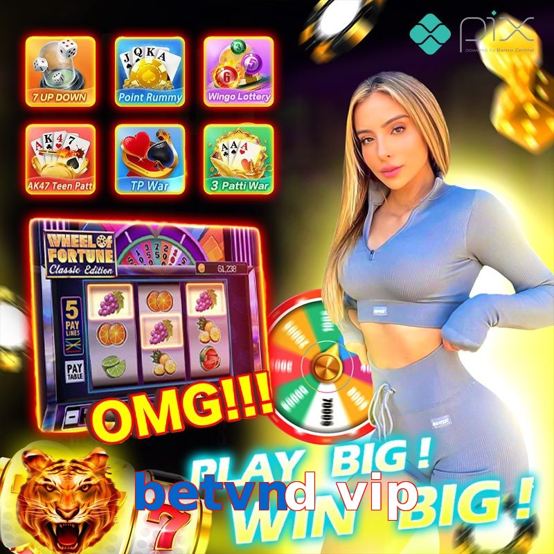 betvnd vip