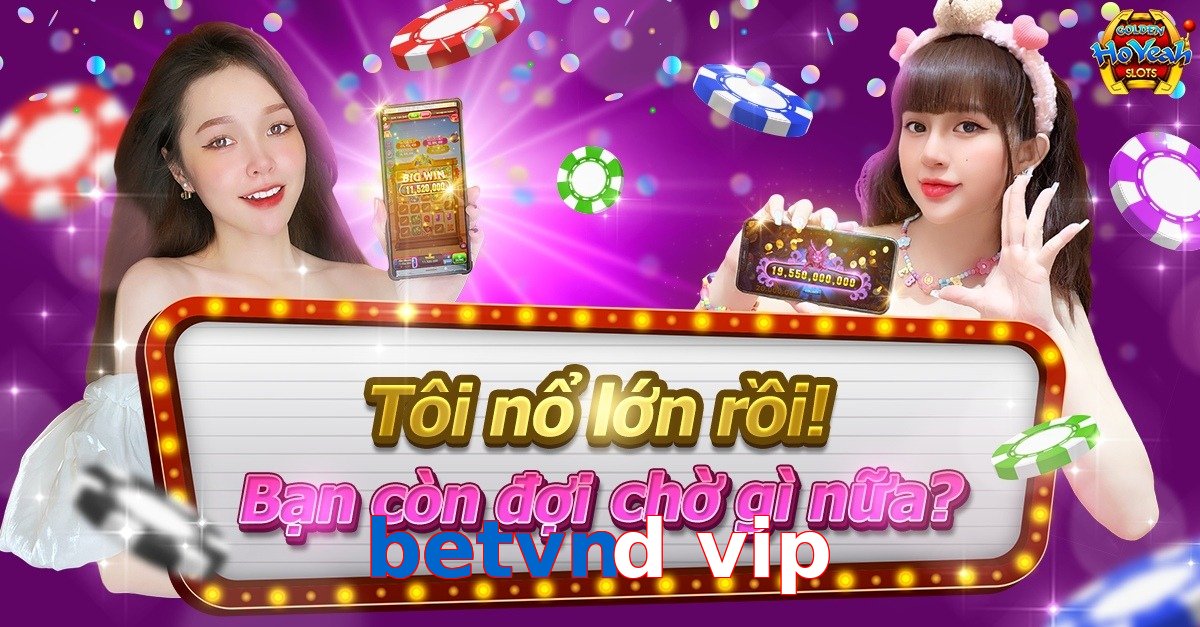 betvnd vip