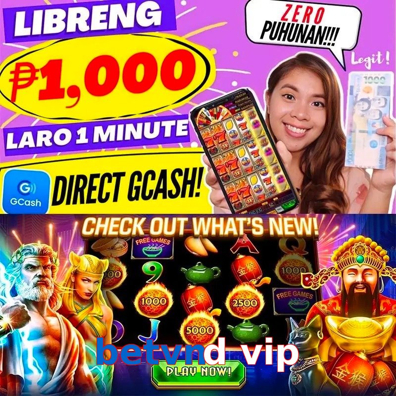 betvnd vip